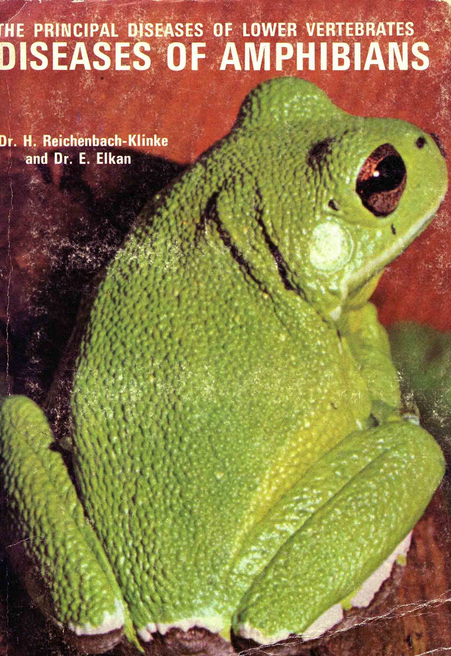Image for The Principal Diseases of the Lower Vertebrtates: Diseases of Amphibians,